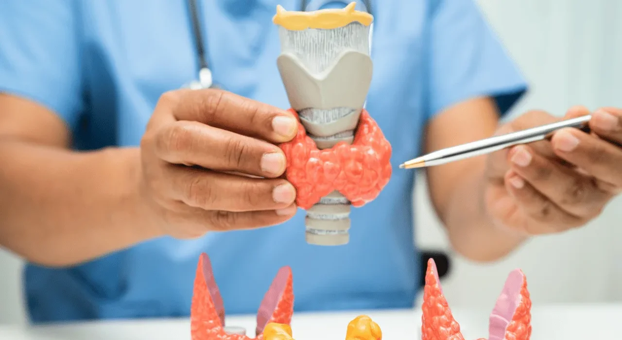 Hypo and Hyperthyroidism