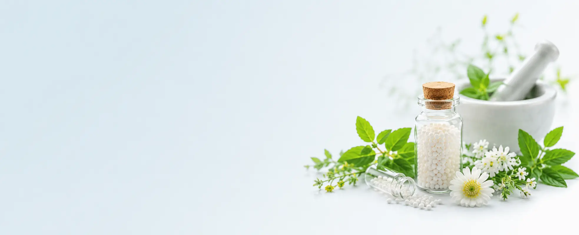 Homeopathy Services